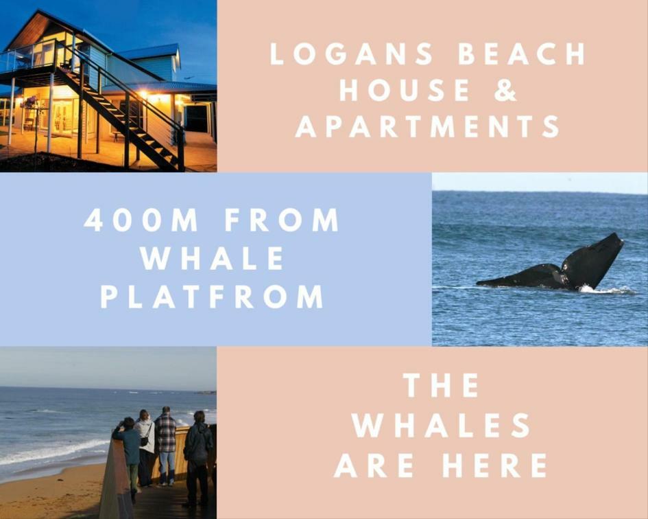 Logans Beach Apartments - The Loft Warrnambool Eksteriør billede